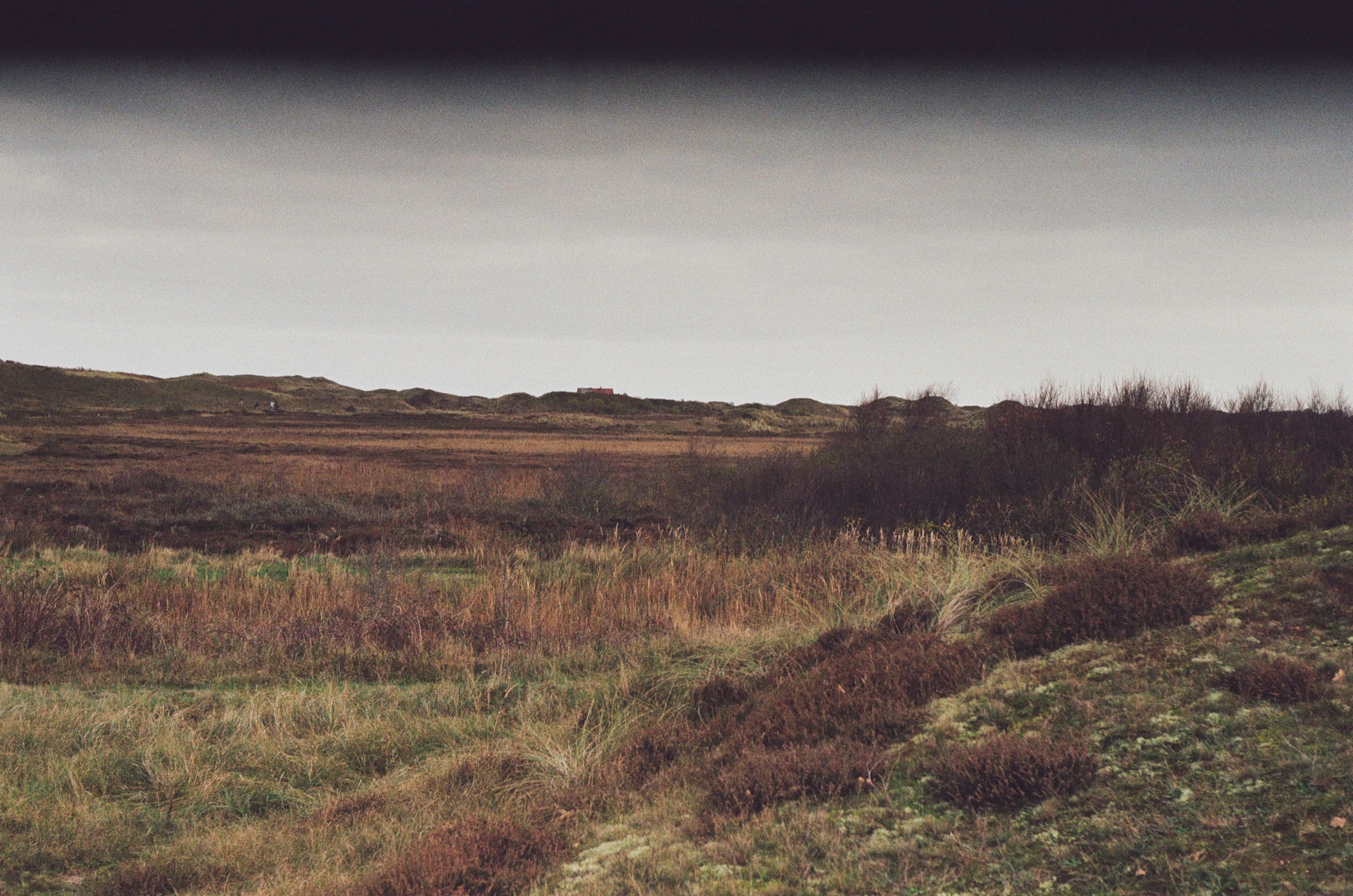 Dunes and scrub beneath a cloudy sky