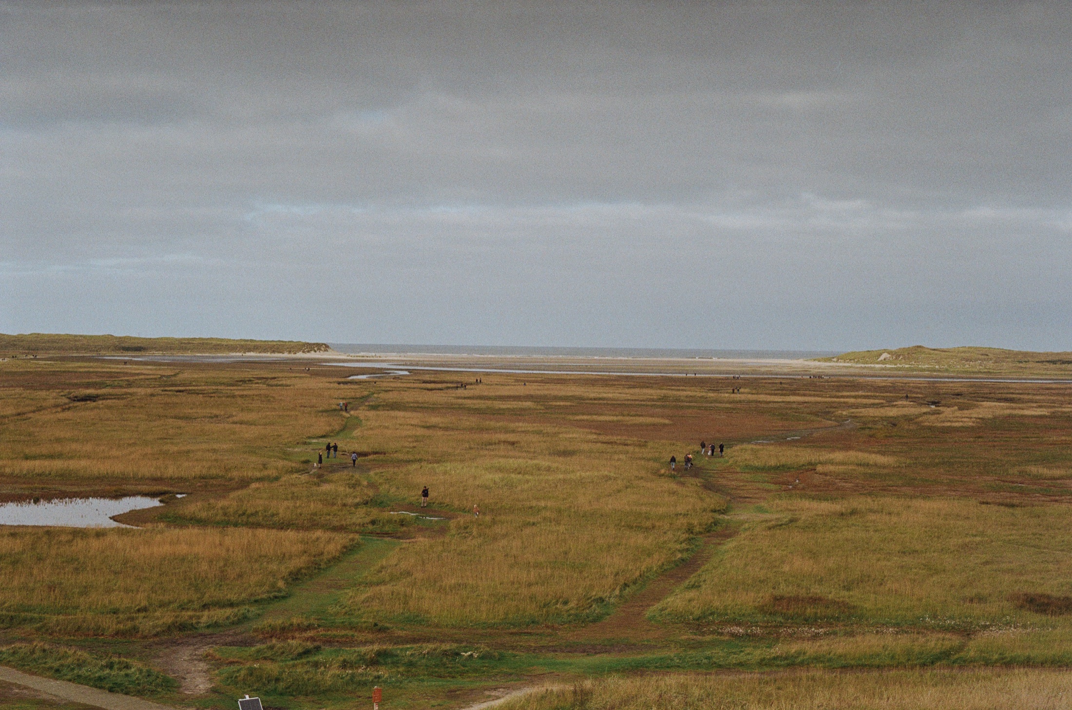 Coastal grassland stretching towards the sea